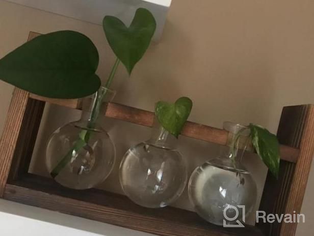 img 1 attached to Kingbuy Plant Propagation Station: Retro Wooden Stand, Glass Terrarium Planter Flower Pot & 3 Bulb Vase For Home Decor! review by Affan Yeo