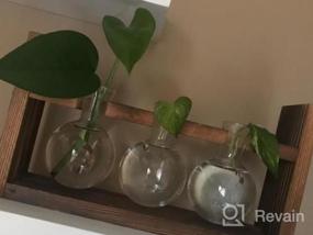 img 5 attached to Kingbuy Plant Propagation Station: Retro Wooden Stand, Glass Terrarium Planter Flower Pot & 3 Bulb Vase For Home Decor!