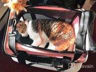 img 1 attached to Viva Magenta Soft Pet Carrier: Perfect Solution For Large And Medium Cats And Small Dogs review by Brad Arthur