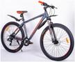 mountain bike nrg bikes lion 29" al/19" gray-black-red, aluminum frame, 2022, 21 speeds logo