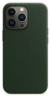 iphone 13 pro leather magsafe case, sequoia green logo