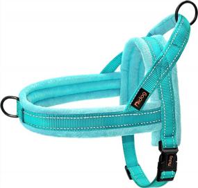 img 4 attached to Didog Soft Flannel Padded Dog Vest Harness, Escape Proof & Quick Fit Reflective Dog Strap Harness, Easy for Training & Walking - XS Size: Chest 15-18 Inches, Teal