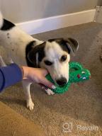 img 1 attached to Durable Squeaky Dog Toys For Aggressive Chewers - Rmolitty Tough Rubber Dental Chew Toys For Large, Medium & Small Breeds (Green) review by Joel Wright