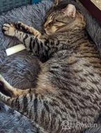 картинка 1 прикреплена к отзыву Успокаивающая кровать для собак Topmart Plush: анти-тревожный пончик для маленьких собак и кошек, моющаяся кровать для кошек из искусственного меха, 23 x 23 дюйма - бежевый от Christopher Tillman