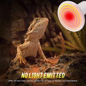 img 2 attached to 🔥 WUHOSTAM 100W 2 Pack Ceramic Heat Lamp: Infrared Pet Coop Heater & Reptile Bulb, ETL Listed - No Light, No Harm