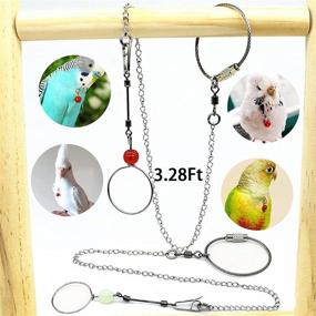 img 3 attached to 🦜 Bonaweite 2 Pack Pet Bird Parrot Neck Collar Chain: Stainless Steel Anti-Bite Ring for Outdoor Flying Training and Accessory for Various Bird Species