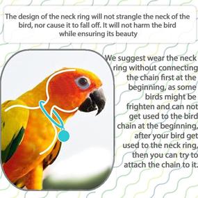 img 2 attached to 🦜 Bonaweite 2 Pack Pet Bird Parrot Neck Collar Chain: Stainless Steel Anti-Bite Ring for Outdoor Flying Training and Accessory for Various Bird Species