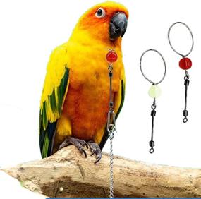 img 4 attached to 🦜 Bonaweite 2 Pack Pet Bird Parrot Neck Collar Chain: Stainless Steel Anti-Bite Ring for Outdoor Flying Training and Accessory for Various Bird Species