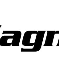 magnelex логотип