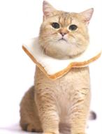 adnikia creative bread shaped headdress dressing cats logo