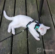 img 1 attached to Adjustable Escape-Proof Cat Harness And Leash Set - Soft And Breathable Walking Jacket For Small Pets, With Durable Metal Leash Ring - Perfect For Kittens And Puppies - Size Medium review by Bethany Green
