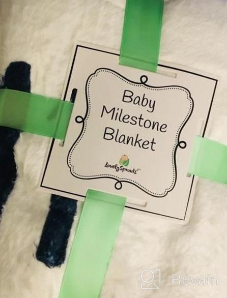 img 1 attached to LovelySprouts Premium Fleece Monthly Milestone Blanket: Wrinkle & Fade-Resistant, Large 60 X 40 Size - Perfect For Baby Boy Or Girl Photo Props, Mountain Design review by Gina Acevedo