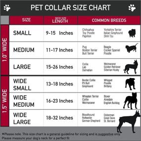 img 2 attached to Buckle Down Seatbelt Buckle Dog Collar Dogs via Training & Behavior Aids