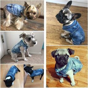 img 3 attached to 👕 Blue Puppy Denim T-Shirt & Strangefly Dog Jean Jacket Set - Machine Washable, Comfortable & Cool Apparel for Small-Medium Dogs, Cats, and Pets