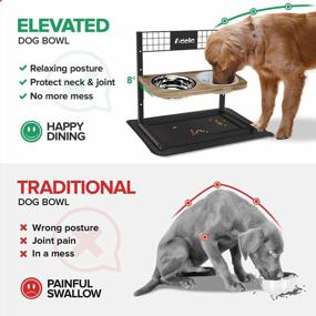 img 2 attached to Raised Pet Bowl Stand Feeder With Stainless Steel Dog Food Water Bowls & Spill Proof Mat, 8° Tilted Slow Feeder Elevated Dog Bowls - 4 Adjustable Heights For Large Medium And Small Cats And Dogs