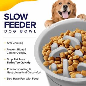 img 1 attached to Raised Pet Bowl Stand Feeder With Stainless Steel Dog Food Water Bowls & Spill Proof Mat, 8° Tilted Slow Feeder Elevated Dog Bowls - 4 Adjustable Heights For Large Medium And Small Cats And Dogs