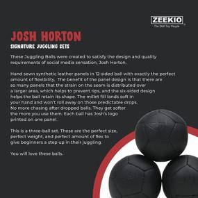 img 3 attached to Мячи для жонглирования Zeekio Josh Horton Pro Series - [Набор из 3] 12 панелей, синтетическая кожа с наполнителем из проса, с пластиковыми бобами,