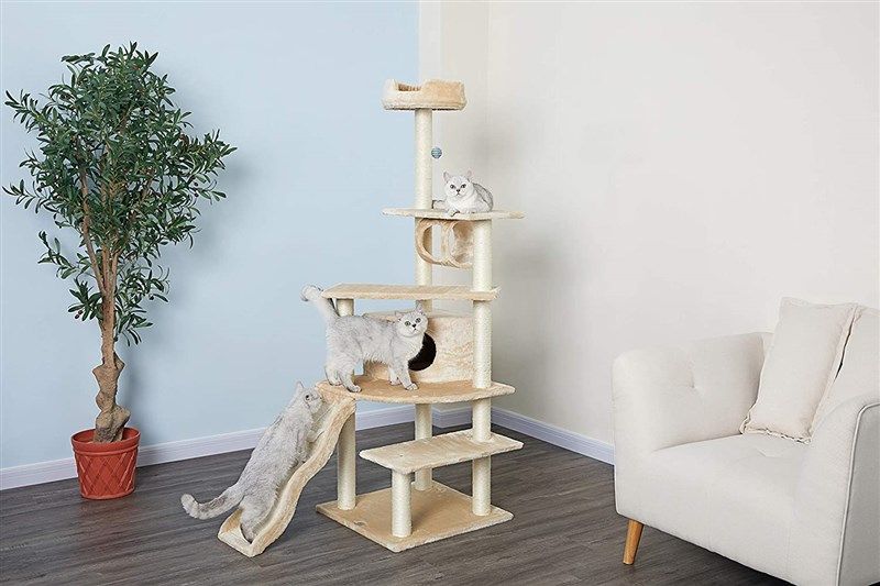 Go Pet Club Beige Color Cats good in Beds & Furniture Reviews & Ratings