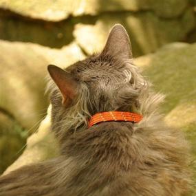 img 3 attached to Stay Safe at Night with Elasta Cat Reflective Safety Stretch Collar