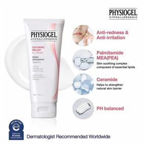 img 3 attached to PHYSIOGEL Calming Relief Cream 100Ml