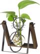 modern glass planter with creative cat stand for home decor - marbrasse hydroponics vase with scindapsus container logo