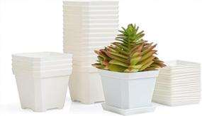 img 4 attached to BangQiao White Plastic Square Plant Pots With Saucer Tray - Perfect For Succulents, Cuttings & Transplanting - 20 Pack