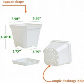 img 3 attached to BangQiao White Plastic Square Plant Pots With Saucer Tray - Perfect For Succulents, Cuttings & Transplanting - 20 Pack