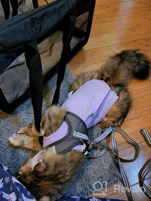 img 1 attached to Cat Surgery Recovery Suit: Surgical Abdominal Wound Protection For Indoor Pets - E-Collar Alternative Post-Surgery Pajama Suit review by Mike Brumfield