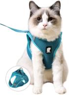 escape proof cat harness and leash set for walking - fdoylclc step-in easy control outdoor jacket, adjustable reflective breathable soft air mesh vest - ideal for small, medium, large kittens (turquoise, l) logo