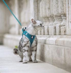 img 3 attached to Escape Proof Cat Harness and Leash Set for Walking - FDOYLCLC Step-in Easy Control Outdoor Jacket, Adjustable Reflective Breathable Soft Air Mesh Vest - Ideal for Small, Medium, Large Kittens (Turquoise, L)