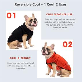 img 2 attached to 🐶 Mypappydog Reversible Fleece Dog Jacket: Stylish, Functional Winter Coat for Small-Medium Breeds - Easy On/Off, Windproof, Sporty Design - 4 Sizes (Black/Orange)