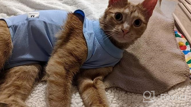 img 1 attached to Cat Surgery Recovery Suit: Surgical Abdominal Wound Protection For Indoor Pets - E-Collar Alternative Post-Surgery Pajama Suit review by Justin Puranik