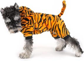 img 4 attached to Dr NONO Tiger Costume Christmas Birthday Dogs ~ Apparel & Accessories