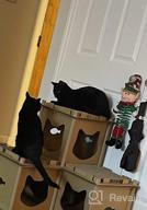 картинка 1 прикреплена к отзыву Large Cat House For Cats & Kitties - Petique Feline Penthouse Three Level Cardboard Kitty House от Tim Thuss