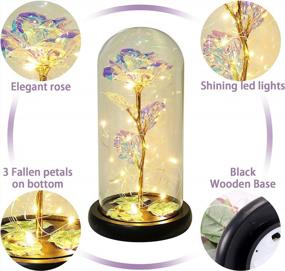 img 2 attached to Vieshful Exquisite Rose In Glass Dome Colorful Gold Eternal Rose With LED Light,Artificial Flower Last Forever Valentine'S Day Birthday Mothers Day Wedding For Her