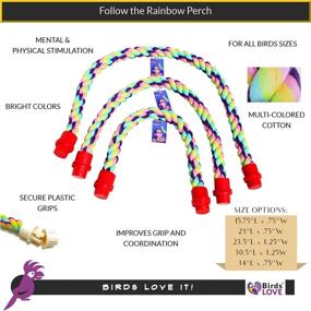 img 1 attached to 🐦 Birds LOVE Cotton Rope Comfy Cable Perch (1) - Perfect for African Greys, Amazons, and Similar Sized Birds - 23.5" Length