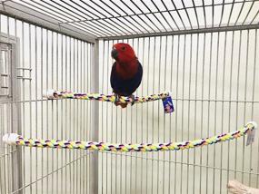 img 2 attached to 🐦 Birds LOVE Cotton Rope Comfy Cable Perch (1) - Perfect for African Greys, Amazons, and Similar Sized Birds - 23.5" Length