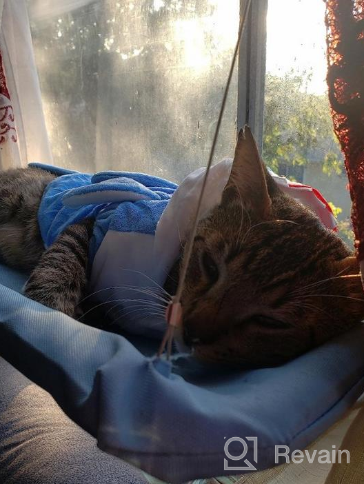 img 1 attached to Sturdy And Safe Window Cat Hammock With Heavy Duty Suction Cups For Resting And Perching, Holds Up To 30Lbs, Plus 2 Extra Suction Cups Included - NOYAL review by Dave Harris