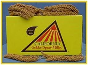 img 1 attached to California Golden Spray Millet - Premium Quality 25 Lbs: Ideal for Birds and Small Pets