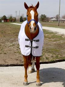 img 1 attached to 🐴 BasEQ Standard Neck Fly Sheet: Ultimate Protection for Horses, Unmatched Comfort and Durability