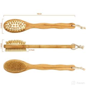 img 2 attached to 🧽 Gentle Exfoliating Skin Brush for Improved Circulation and Cellulite Reduction