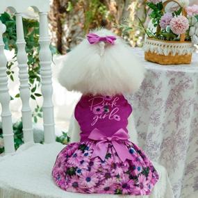 img 1 attached to Princess Pink Daisy Velvet Dog Dress For Small Female Dogs - CuteBone CVA07S-D Puppy Clothes