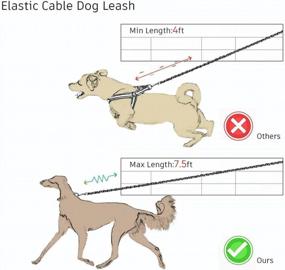 img 1 attached to Stretchable Elastic Dog Leash With Shock Absorption, 4 To 7.5Ft Cable Tie Out For Medium To Large Pets - AMOFY