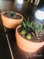 img 1 attached to Set Of 2 POTEY 6.1" Terracotta Planters W/ Drainage Hole For Succulent & Cactus review by Isaac Shankar