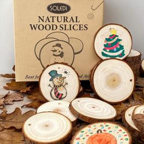 img 2 attached to 30Pcs 2.4"-2.8" Unfinished Wood Slices With Hole - Rustic Wedding Decorations, Round Coasters & Halloween/Christmas Ornaments DIY Arts Crafts Kit