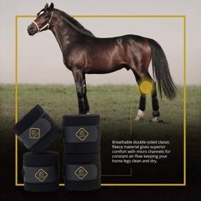 img 2 attached to Kavallerie Classic Equine Bandages: дышащая и поддерживающая защита ног для лошадей (4 шт. в упаковке, черные)