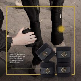 img 1 attached to Kavallerie Classic Equine Bandages: дышащая и поддерживающая защита ног для лошадей (4 шт. в упаковке, черные)