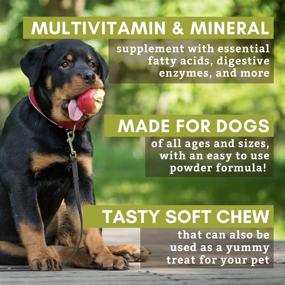 img 3 attached to 🐶 Wholistic Pet Organics: Natural Dog Multivitamin Chews - The Ultimate Homemade Dog Food Supplement