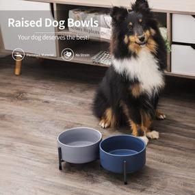 img 1 attached to 6 Inch Ceramic Dog & Cat Bowl Set Of 2 With Elevated Metal Stand - 32 Oz Round Pet Food And Water Feeder Dish For Cats & Dogs - Blue & Grey