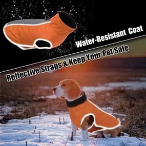 img 1 attached to 🐶 AOFITEE Waterproof Reflective Winter Dog Coat | Windproof Warm Fleece Lined Puppy Jacket | Lightweight Pet Sport Vest Outdoor Apparel for Small, Medium & Large Dogs